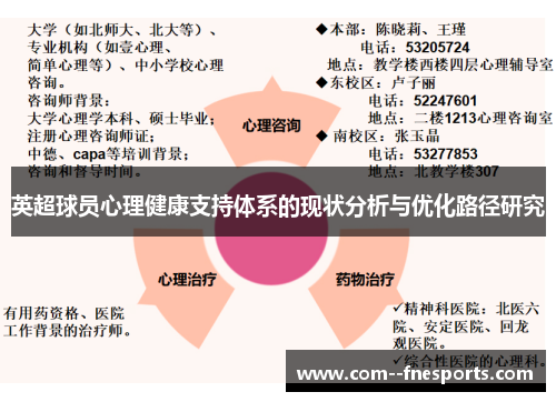 英超球员心理健康支持体系的现状分析与优化路径研究 英超球员心理健康支持体系的现状分析与优化路径研究